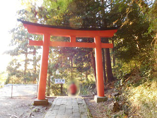 f:id:bata_sun:20161116204035j:plain