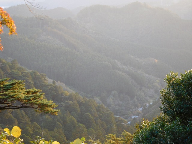 f:id:bata_sun:20161116213340j:plain