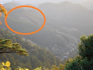 f:id:bata_sun:20161116214053j:plain