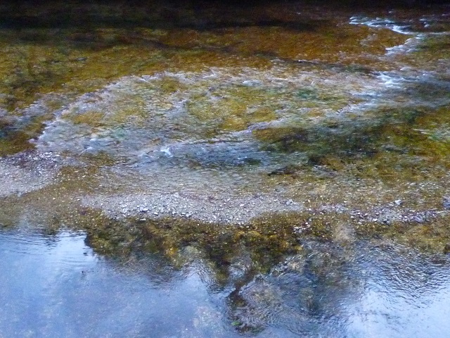 f:id:bata_sun:20161116222011j:plain