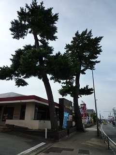 f:id:bata_sun:20161128195456j:plain