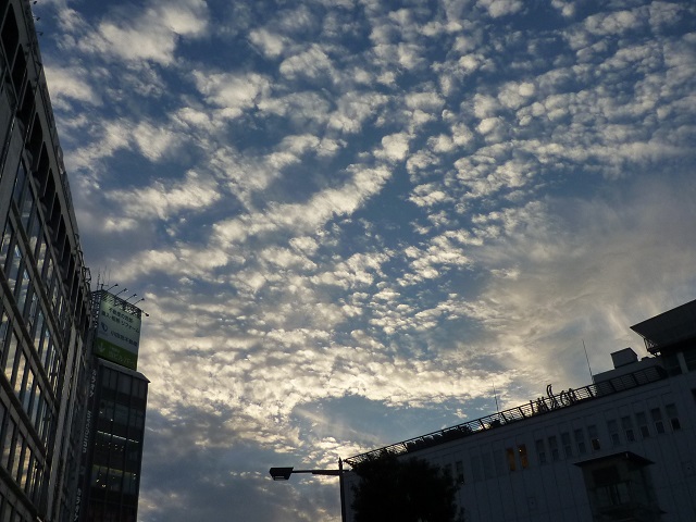 f:id:bata_sun:20161204194711j:plain
