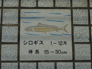 f:id:bata_sun:20161205111501j:plain