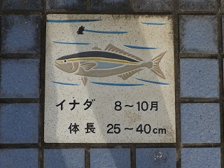 f:id:bata_sun:20161205111521j:plain