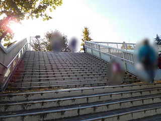 f:id:bata_sun:20161205191831j:plain f:id:bata_sun:20161205191831j:plain