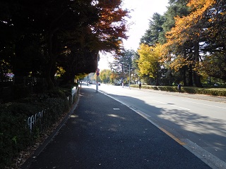 f:id:bata_sun:20161205192036j:plain f:id:bata_sun:20161205192036j:plain