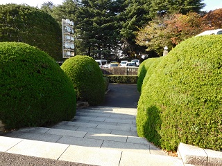 f:id:bata_sun:20161205192632j:plain f:id:bata_sun:20161205192632j:plain