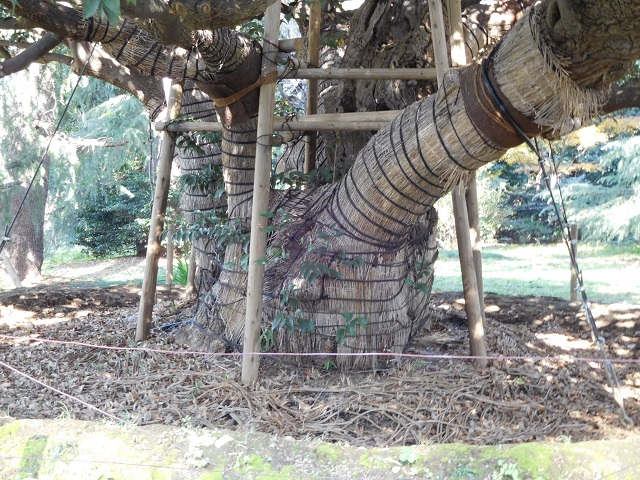 f:id:bata_sun:20161205192849j:plain f:id:bata_sun:20161205192849j:plain