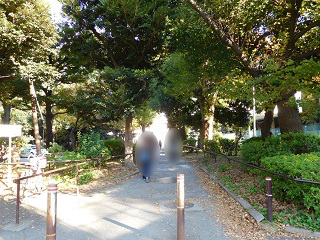 f:id:bata_sun:20161205193410j:plain f:id:bata_sun:20161205193410j:plain