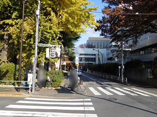 f:id:bata_sun:20161205193610j:plain f:id:bata_sun:20161205193610j:plain