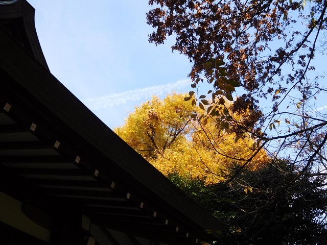 f:id:bata_sun:20161205200727j:plain f:id:bata_sun:20161205200727j:plain