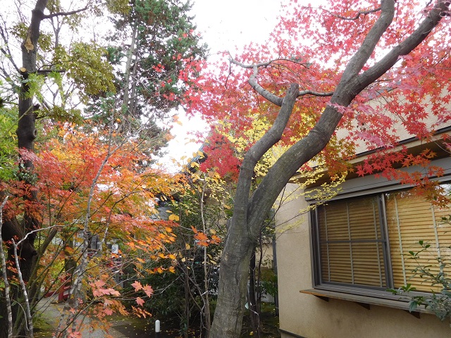 f:id:bata_sun:20161207140118j:plain