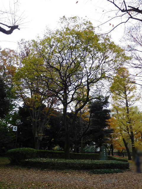 f:id:bata_sun:20161207154254j:plain