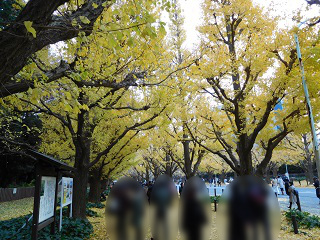 f:id:bata_sun:20161207155421j:plain
