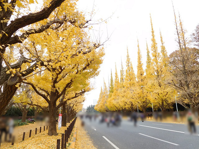 f:id:bata_sun:20161207155951j:plain