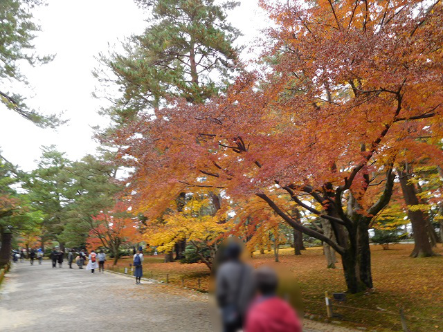 f:id:bata_sun:20161218164423j:plain f:id:bata_sun:20161218164423j:plain