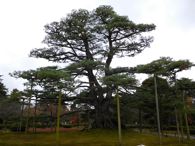 f:id:bata_sun:20161218164738j:plain f:id:bata_sun:20161218164738j:plain