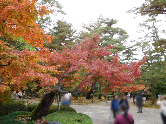 f:id:bata_sun:20161218170802j:plain f:id:bata_sun:20161218170802j:plain