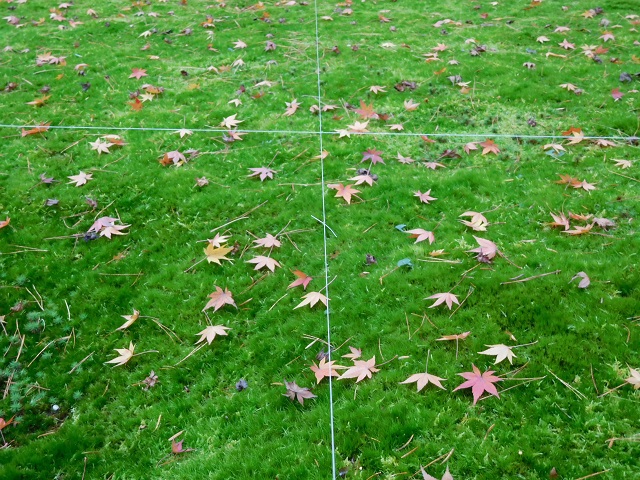 f:id:bata_sun:20161218172128j:plain f:id:bata_sun:20161218172128j:plain