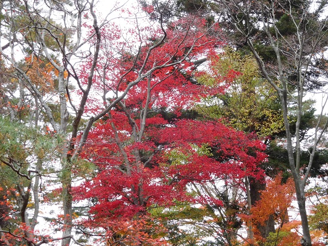 f:id:bata_sun:20161218172940j:plain f:id:bata_sun:20161218172940j:plain