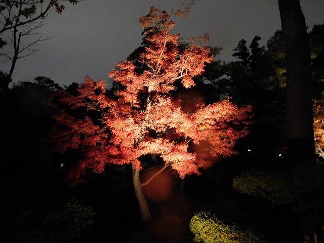 f:id:bata_sun:20161218174845j:plain f:id:bata_sun:20161218174845j:plain