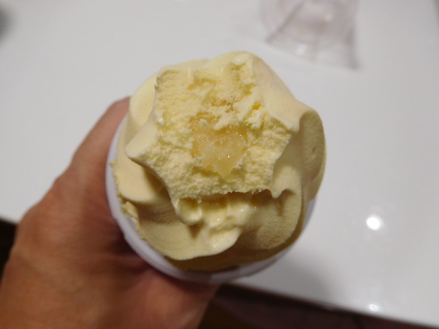 f:id:bata_sun:20161219080105j:plain