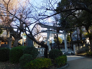 f:id:bata_sun:20170105120146j:plain