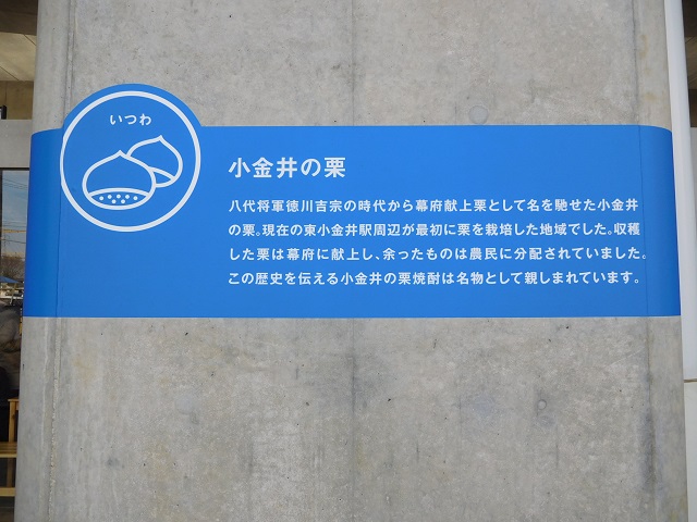 f:id:bata_sun:20170113211740j:plain f:id:bata_sun:20170113211740j:plain