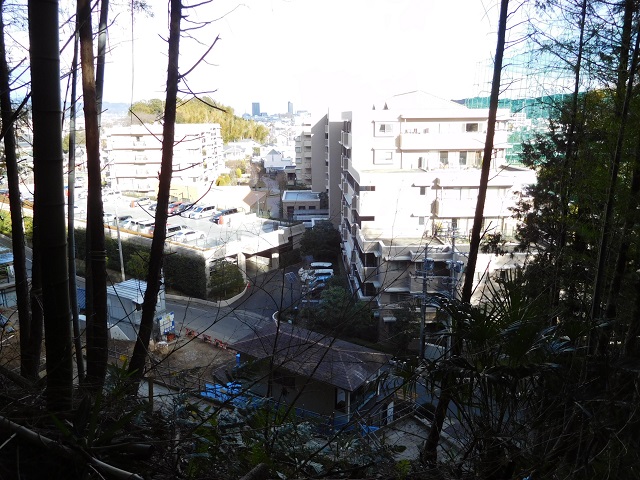 f:id:bata_sun:20170125084559j:plain