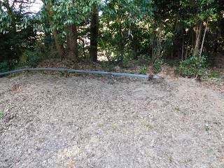 f:id:bata_sun:20170125085219j:plain