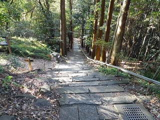 f:id:bata_sun:20170125085512j:plain