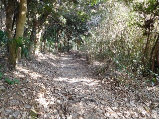 f:id:bata_sun:20170125085758j:plain