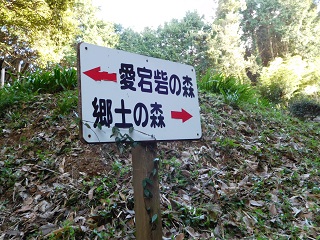 f:id:bata_sun:20170125132209j:plain f:id:bata_sun:20170125132209j:plain