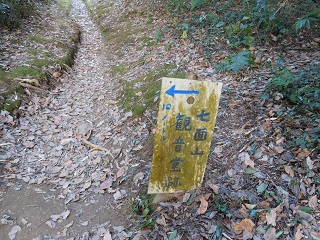 f:id:bata_sun:20170125132508j:plain f:id:bata_sun:20170125132508j:plain