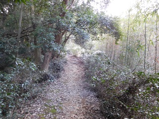 f:id:bata_sun:20170125132644j:plain f:id:bata_sun:20170125132644j:plain