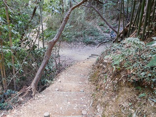 f:id:bata_sun:20170125135933j:plain f:id:bata_sun:20170125135933j:plain