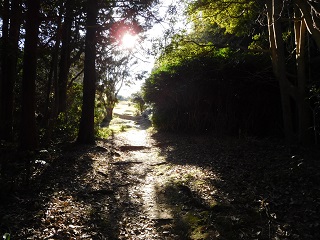 f:id:bata_sun:20170125140031j:plain f:id:bata_sun:20170125140031j:plain