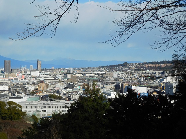 f:id:bata_sun:20170125140221j:plain f:id:bata_sun:20170125140221j:plain