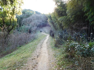 f:id:bata_sun:20170125140255j:plain f:id:bata_sun:20170125140255j:plain