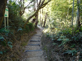 f:id:bata_sun:20170125141134j:plain f:id:bata_sun:20170125141134j:plain