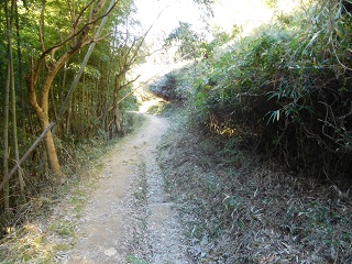 f:id:bata_sun:20170125141142j:plain f:id:bata_sun:20170125141142j:plain