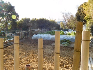 f:id:bata_sun:20170125142548j:plain f:id:bata_sun:20170125142548j:plain