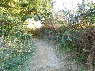 f:id:bata_sun:20170125142613j:plain f:id:bata_sun:20170125142613j:plain