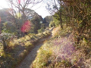 f:id:bata_sun:20170125142619j:plain f:id:bata_sun:20170125142619j:plain