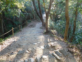 f:id:bata_sun:20170125142713j:plain f:id:bata_sun:20170125142713j:plain