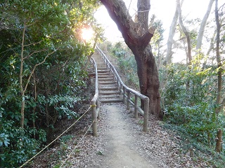 f:id:bata_sun:20170125142719j:plain f:id:bata_sun:20170125142719j:plain