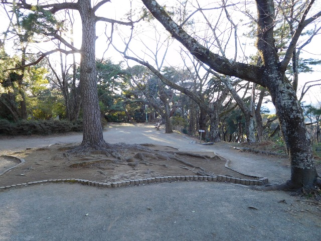 f:id:bata_sun:20170125142725j:plain f:id:bata_sun:20170125142725j:plain