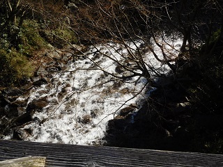 f:id:bata_sun:20170125143130j:plain f:id:bata_sun:20170125143130j:plain