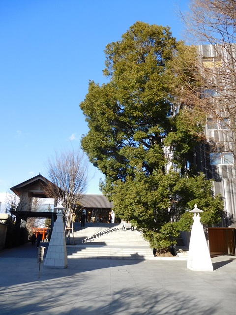 f:id:bata_sun:20170126202723j:plain f:id:bata_sun:20170126202723j:plain