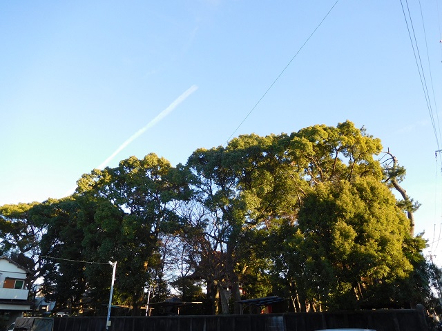 f:id:bata_sun:20170129070005j:plain